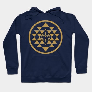 Viper Gold Squadron Hoodie